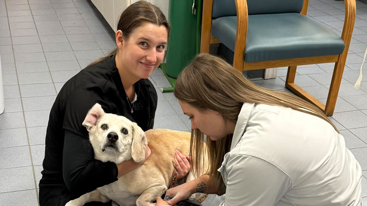 routine checkup