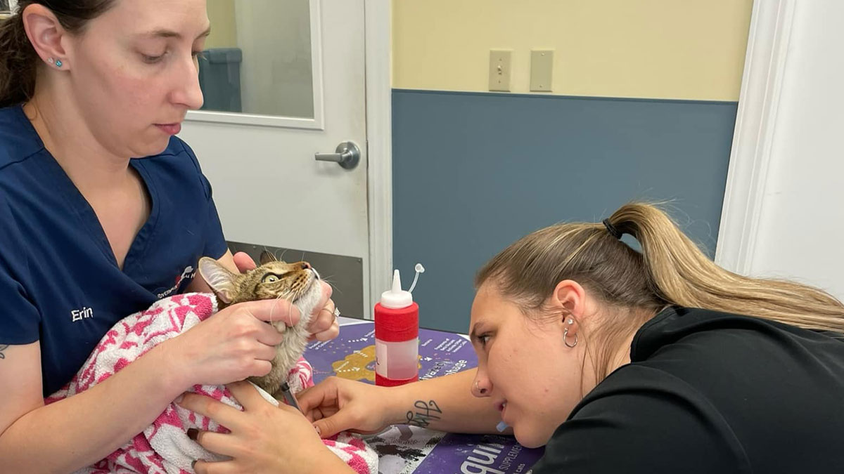 deliver-exceptional-care