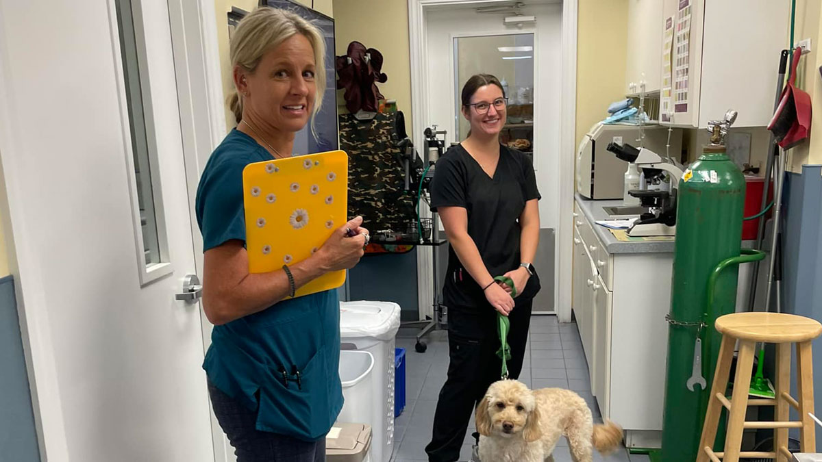 laboratory-dog-testing