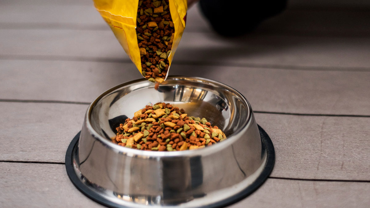 pet-food