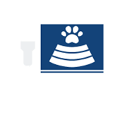 ultrasound icon